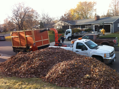 Fall Clean Up The Lawnsmith, Fall Clean Up Landscaping