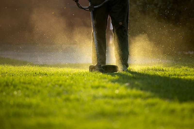 Seasonal lawn cleanup and maintenance planning in Minneapolis